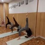 یوگا راه کمال هما اروندیان