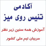  سالن پینگ پنگ ملکی