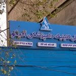 لوگوی پلی کلینیک دامپزشکی آمیگو
