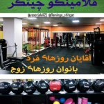 نمونه کار باشگاه فلامینگو