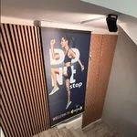 باشگاه سانرایز