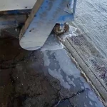 نمونه کار قالیشوی رویال