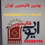 لوگوی قالیشویی ایوب سراسرتهران بزرگ