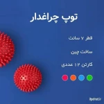 پت نت