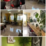 آموزشگاه نقاشی سبز