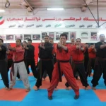 لوگوی آموزش کونگ فو تو آ استاد محمد غمیلویی