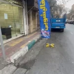 لوگوی قالیشویی و مبل شویی آزادبخت