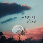 تصویر دکتر روانشناس ارزو شیخ زوج درمانگر