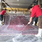  Jordan Carpet Cleaning