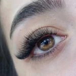 لوگوی اکستنشن مژه آکادمی پریا