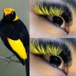 سالن زیبایی سفید