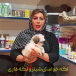 گلد پت شاپ
