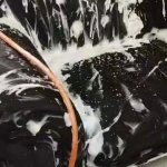 قالیشویی فروزان(30 درصد تخفیف بهترینو)