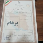  قالیشویی پرهام