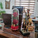  زهرا ابراهیمی وکیل پایه یک دادگستری