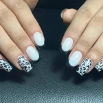 سالن زیبایی نیلوفر شهیدی