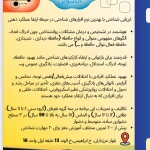 مشاوره خانواده و روانشناس مریم رضائی