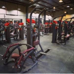 لوگوی باشگاه تخصصی ام ام ای و بدنسازی و کیک بوکس