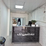  خشکشویی تک اکسپرس (پیک رایگان منطقه 1و3)