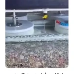  قالیشویی و مبل شویی تخصصی کسری