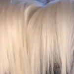 سالن زیبایی نغمه هنری