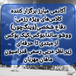 آکادمی مبارز (شعبه پالیزی)