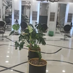 تصویر سالن زیبایی نسیم