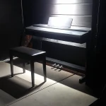 آموزشگاه موسیقی،بازیگری،گویندگی رُخ شو