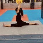 نمونه کار باشگاه تخصصی باله