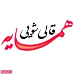 لوگوی قالیشویی همسایه