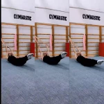 باشگاه ژیمناستیک فرهنگسرا بهمن(ایگِل)