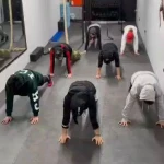 باشگاه بانوان +Four Fit