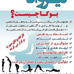  باشگاه یوگای  نیروانا