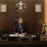 لوگوی وکیل پایه یک  دادگستری پانیز میگلی