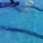 تیم تخصصی آموزش شنا سحر قجر (شناگرشو)