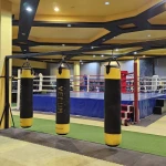 باشگاه بوکس و بدنسازی پژوهش
