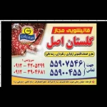  قالیشویی گلستان