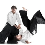 خانه آیکیدو مِی سِی کای