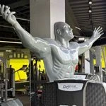 باشگاه بدنسازی آشوری ( vip ژیوان )