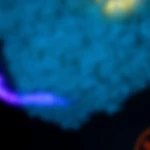 تصویر گیم نت شبانه روزی سیسیلی شعبه ستارخان