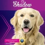 لوگوی تولیدکننده غذای سگ shadow