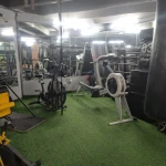 باشگاه پلاتینیوم ونک