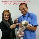 لوگوی کلینیک دامپزشکی من و پت (پنج ستاره)