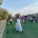 نمونه کار آموزش سگ تربیت سگ