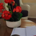 تصویر حمید حائری (روانکاو و روانشناس)