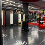 باشگاه تخصصی رزمی پانچ