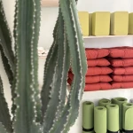 استودیو یوگا سرو