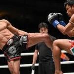  کیک بوکسینگ(MMA)