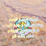 تصویر کارخانه قالیشویی دا ( شعبه غرب تهران )