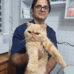 کلینیک دامپزشکی و پت شاپ دکتر امیدی